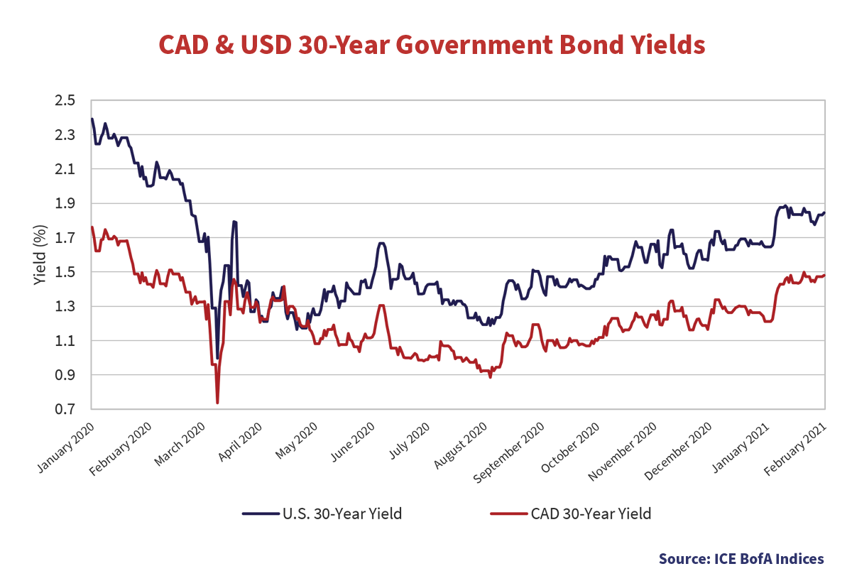 CAD and USD 30-Year Government Bond Yields Comparison (January 2020 to February 2021) 